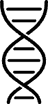 Embriões