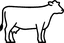 Matrizes