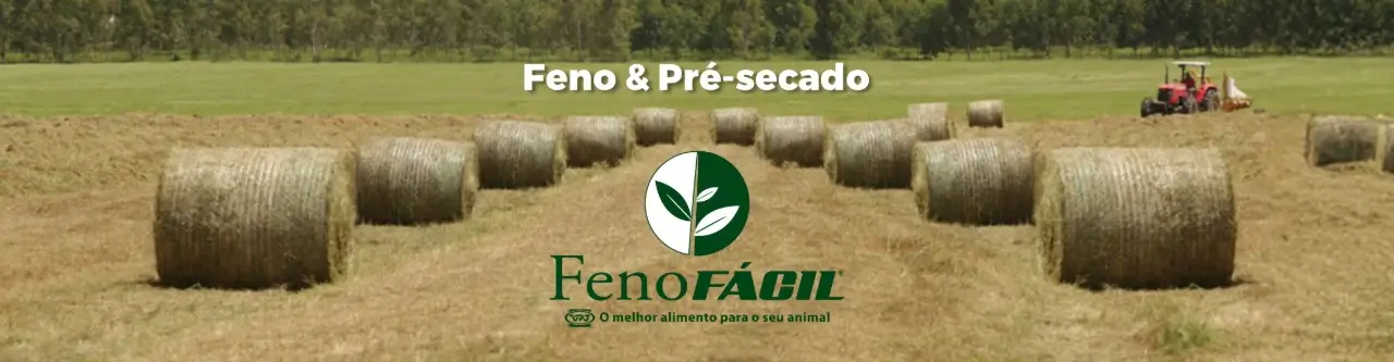 Banner Site Feno Facil 1920x500 fev26